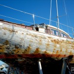tse_0156